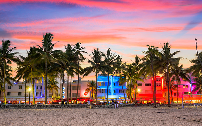 Miami Tourism Africa